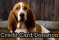 Credit Card Donation