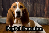 PayPal Donation Featured Thumbnail